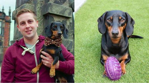 吃瓜群众的狗叫视频,吃瓜群众热议