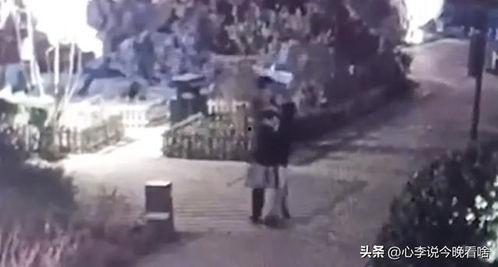 兰州吃瓜视频最全观看,全方位揭秘兰州美食文化盛宴