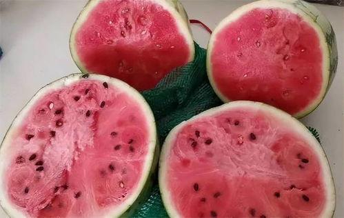 孩子吃麒麟瓜视频大全播放,宝宝美食探索之旅