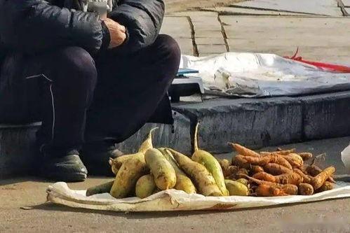 沙河视频事件吃瓜群,吃瓜群揭秘网络舆论风暴