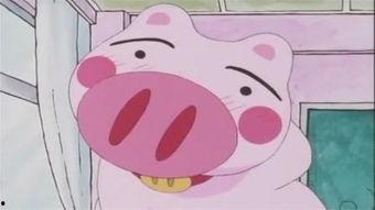 晴天小猪吃瓜视频,萌态十足引网友热议