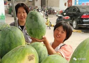 戴路扬州视频 吃瓜,揭秘吃瓜背后的趣味与真相