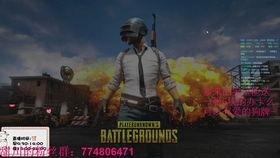 耀扬和瓜妹吃鸡视频,欢乐无限游戏时光