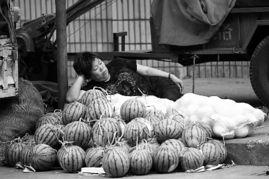 在路上买瓜吃视频,一场别开生面的买瓜吃瓜之旅